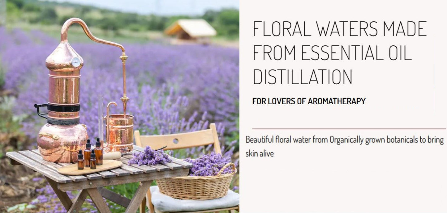 Rosemary Floral Water - Oily Skin and Healthy Hair/Scalp