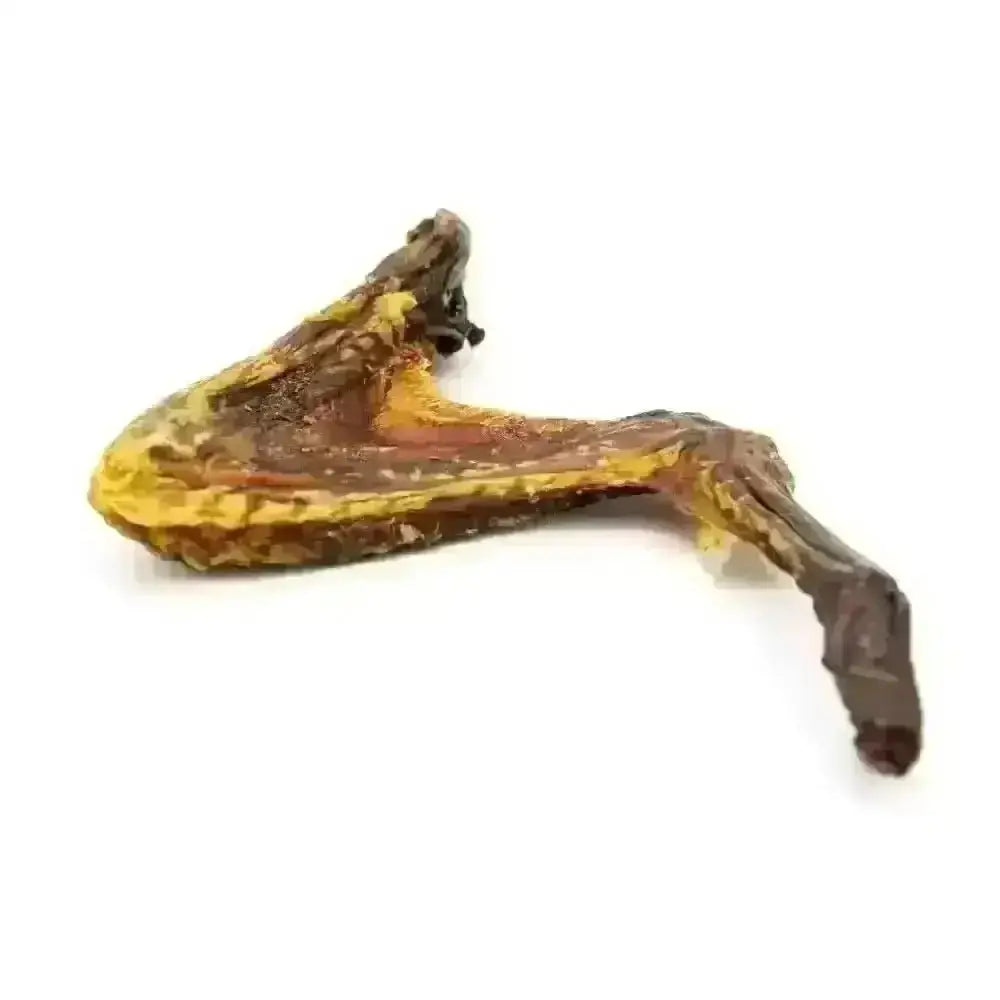Duck Wing Natural Meat Chew For Dogs
