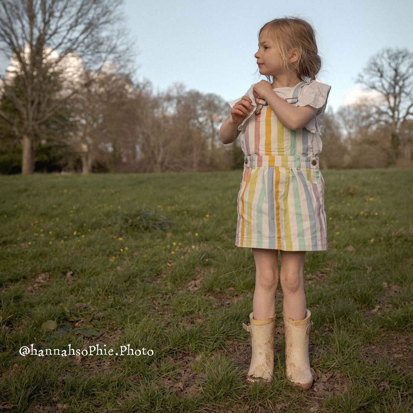 Classic Wide Stripe Dress - Multicolour