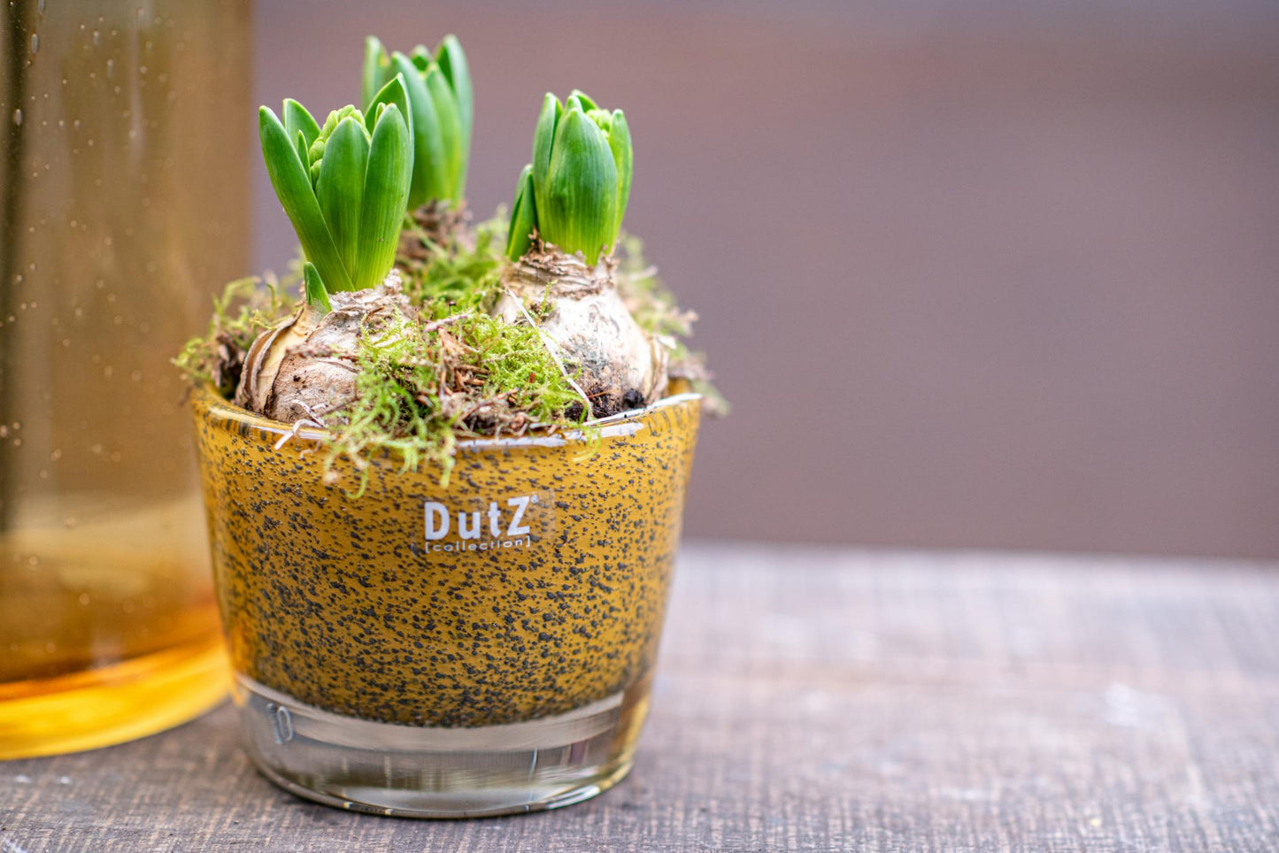 CONIC Vase - Thick Glass with Bubbles by DutZ