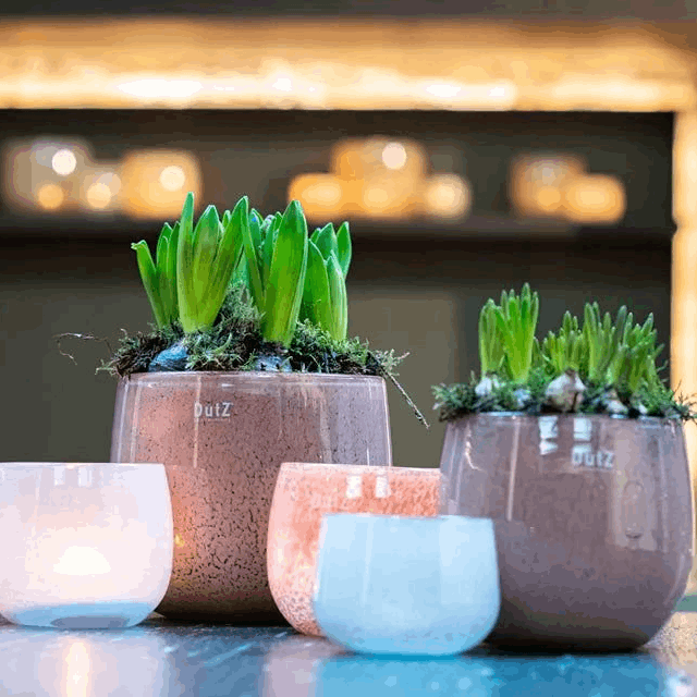 GLASS POT - BEIGE Colour by DutZ
