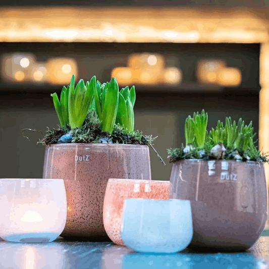 GLASS POT - BEIGE Colour by DutZ