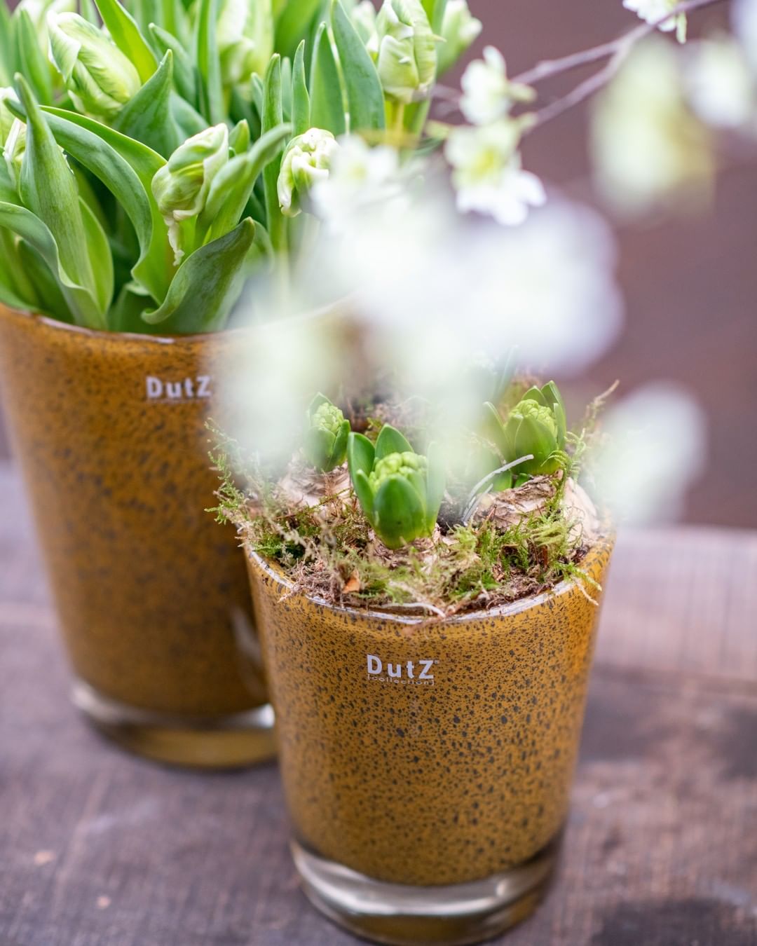 CONIC Vase - Thick Glass with Bubbles by DutZ