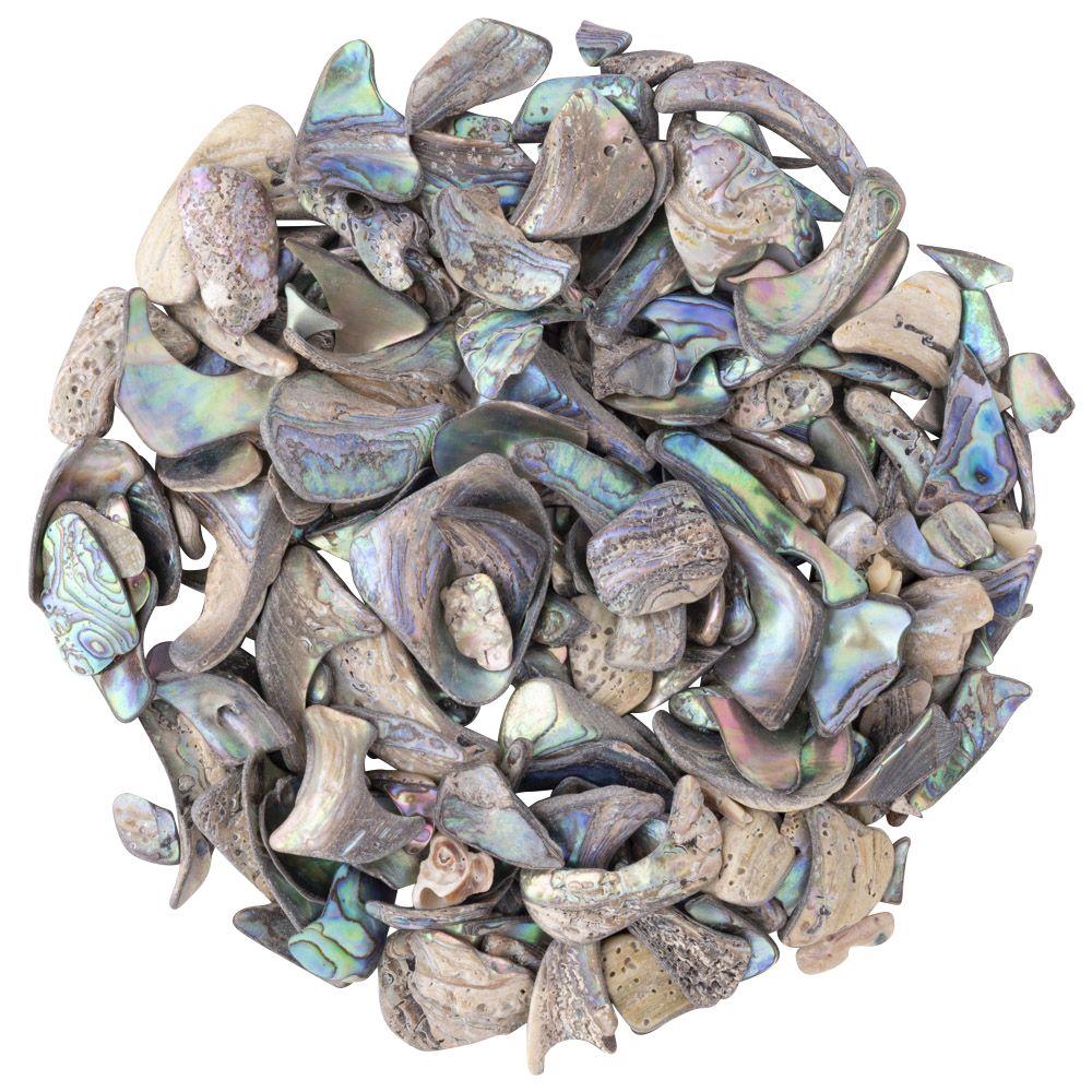 Abalone Shell Tumbled, Unsized, (sold singly)