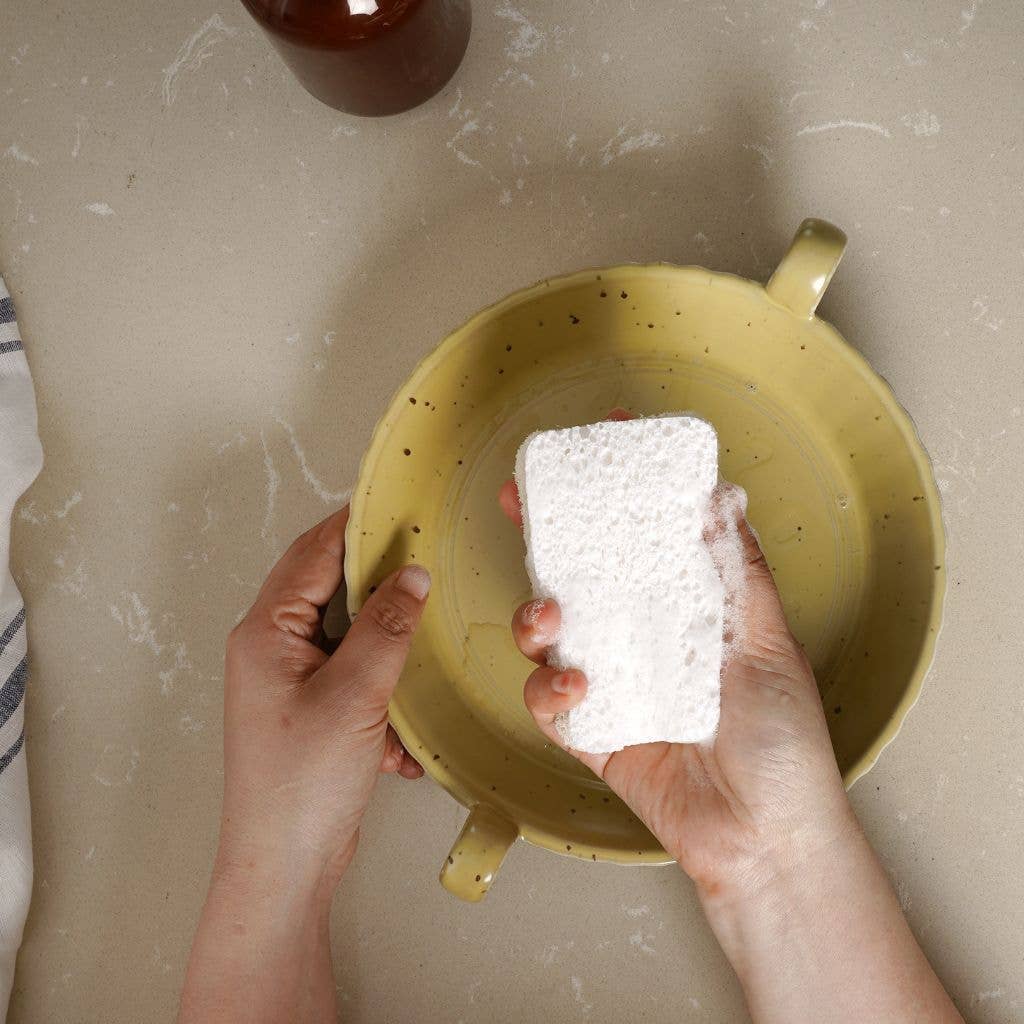 Dual Sided Eco Dish Sponges - 4 Pack