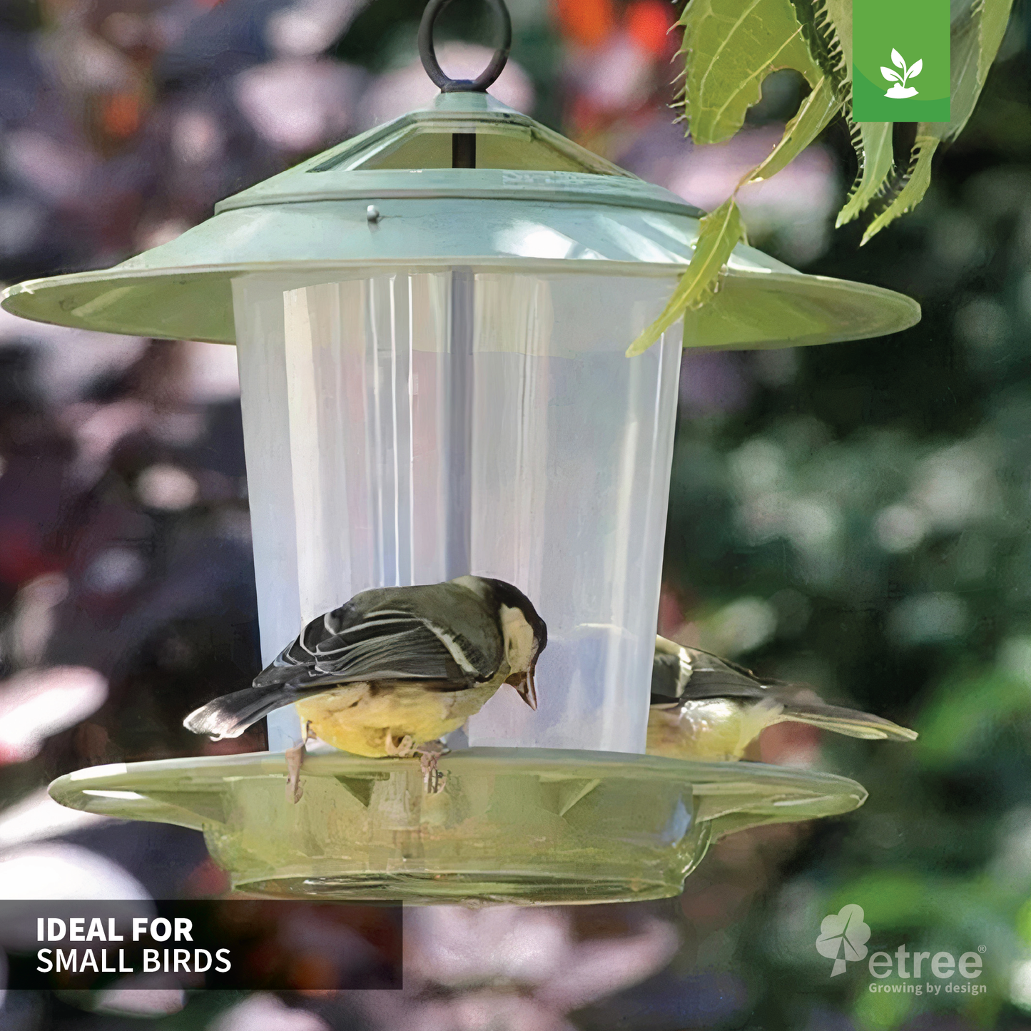 Easy Clean Lantern Bird Feeder