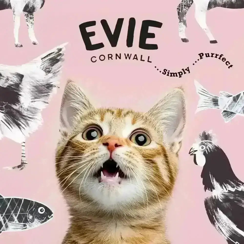 Evie Natural Dry Cat Food Salmon with Whitefish