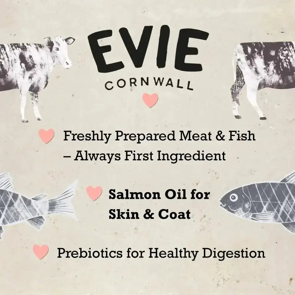 Evie Natural Dry Cat Food Turkey With Chicken