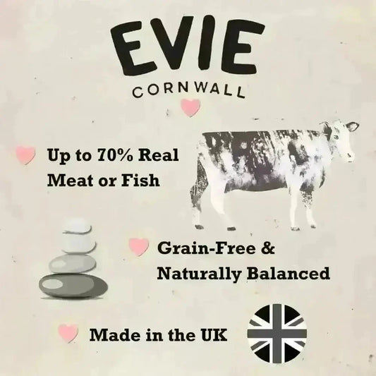 Evie Natural Dry Cat Food Turkey With Chicken