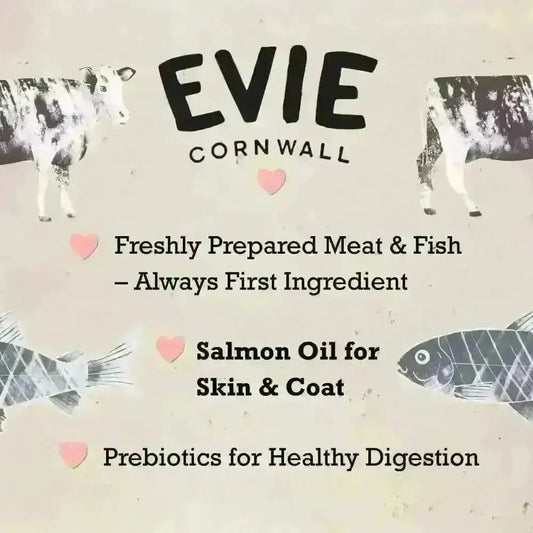 Evie Natural Dry Kitten Food Turkey With Chicken