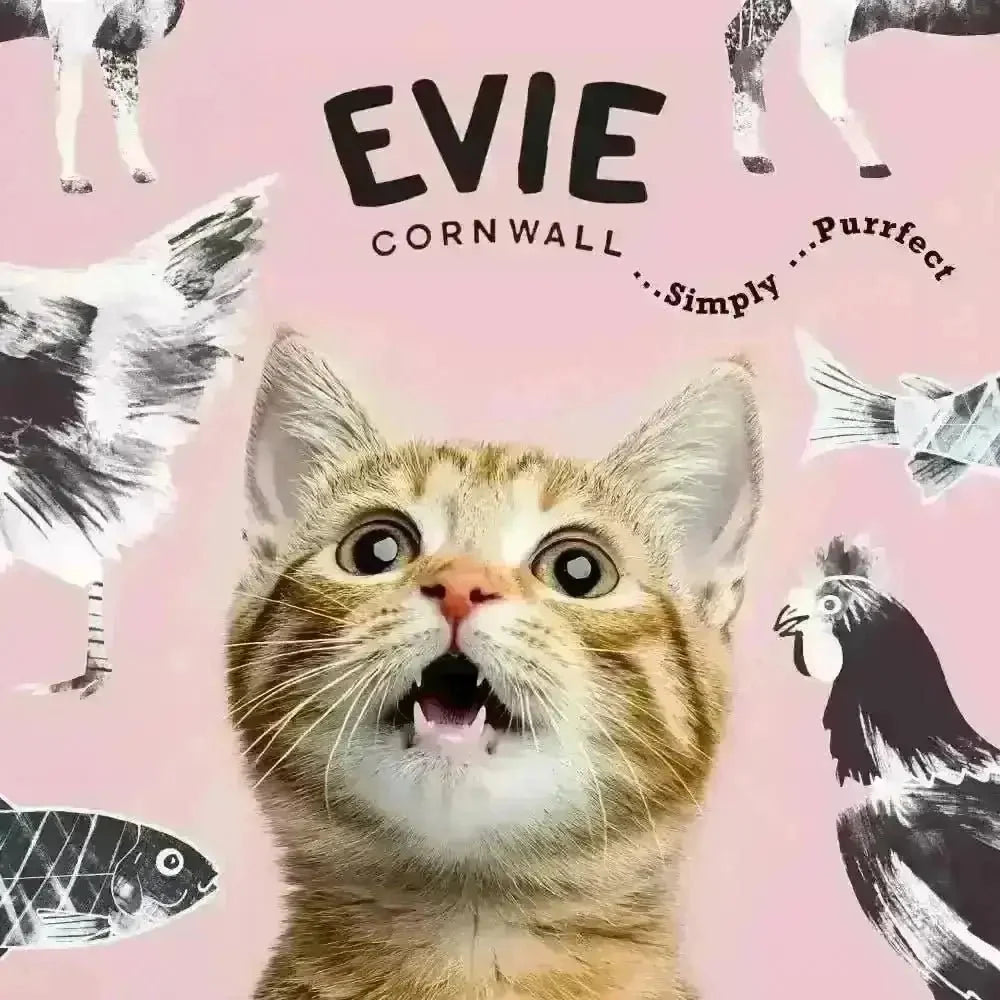 Evie Natural Dry Kitten Food Turkey With Chicken