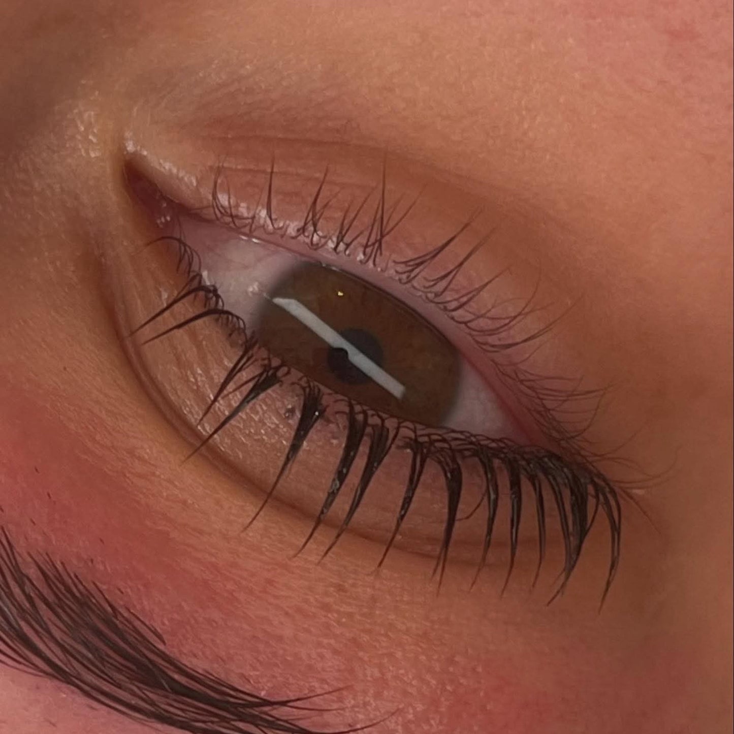 Flutter & Frame Lash Lift & Brow Lamination Sample Pack