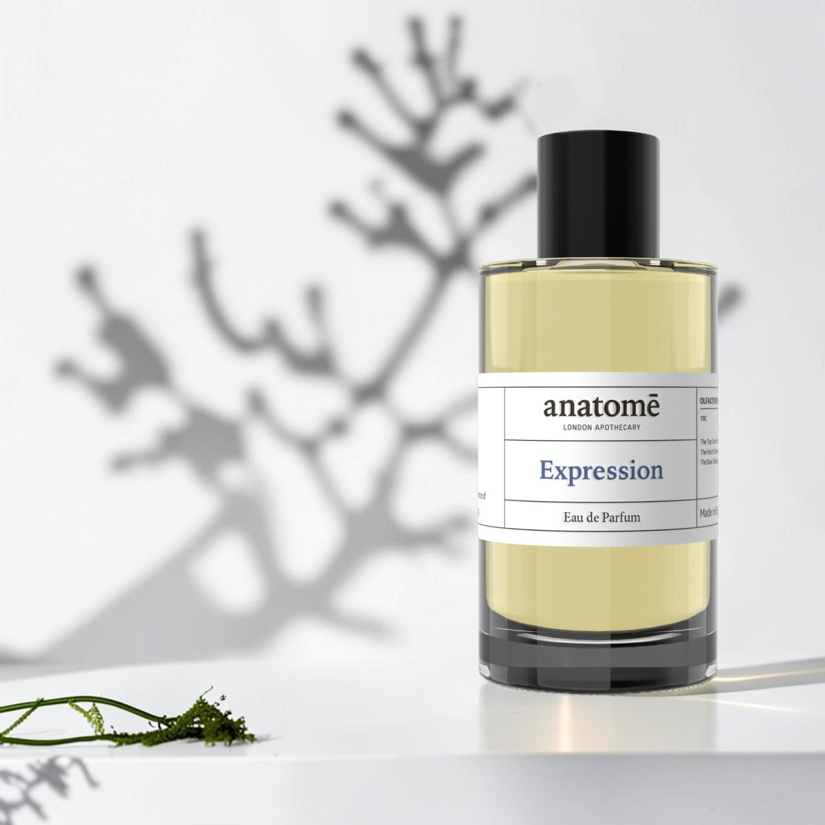 Expression Functional Parfum