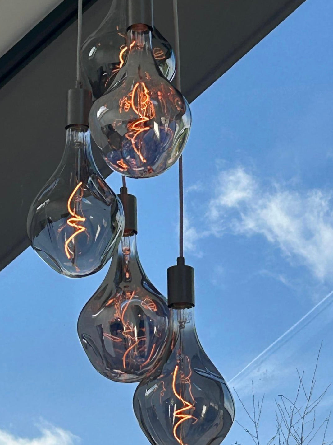 Quintet Evo Cluster Pendant Light