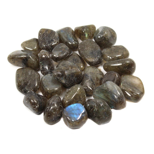 Labradorite Polished Collectible Semi-Precious Gemstone