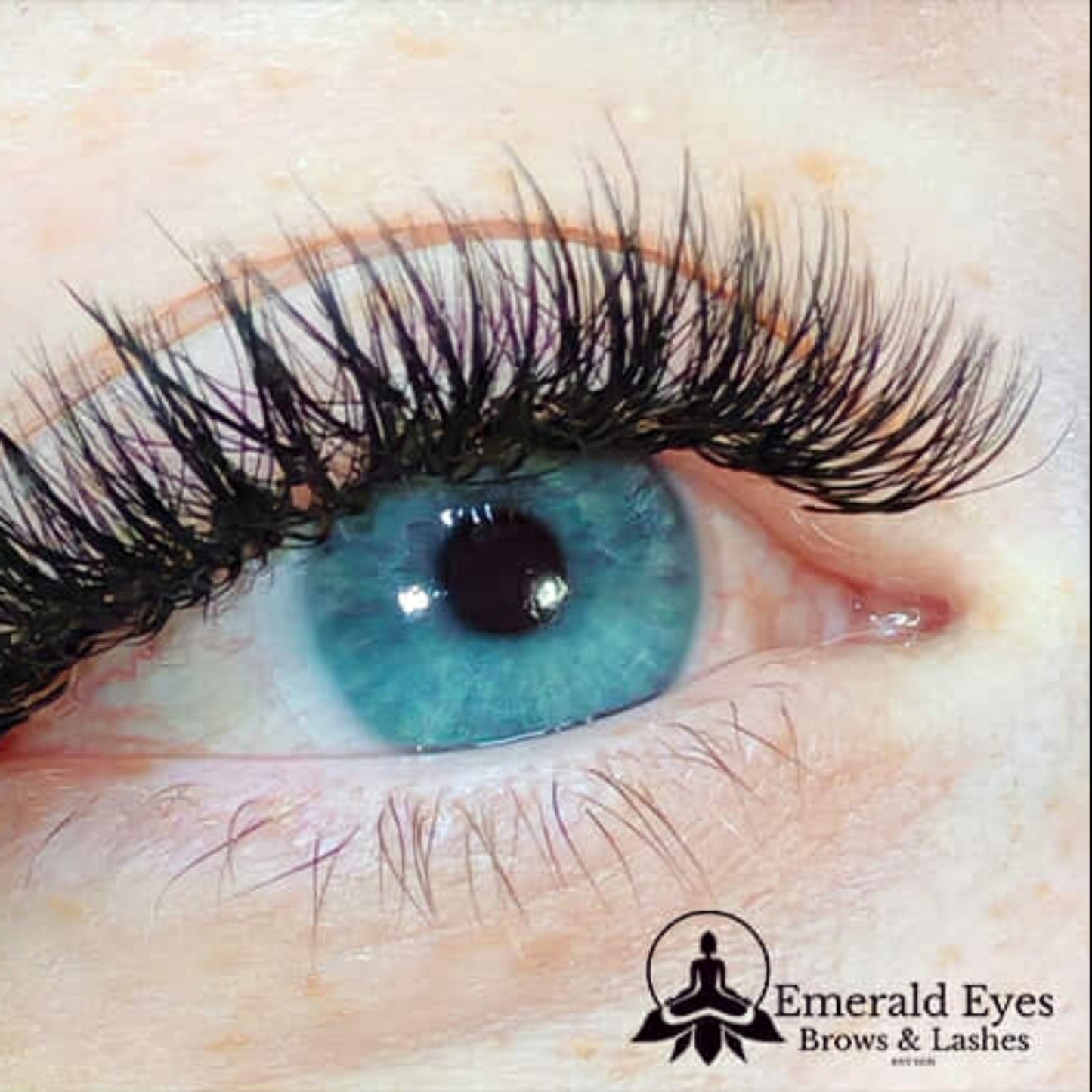 Fairy Lashes – 16 Row Single Length Trays