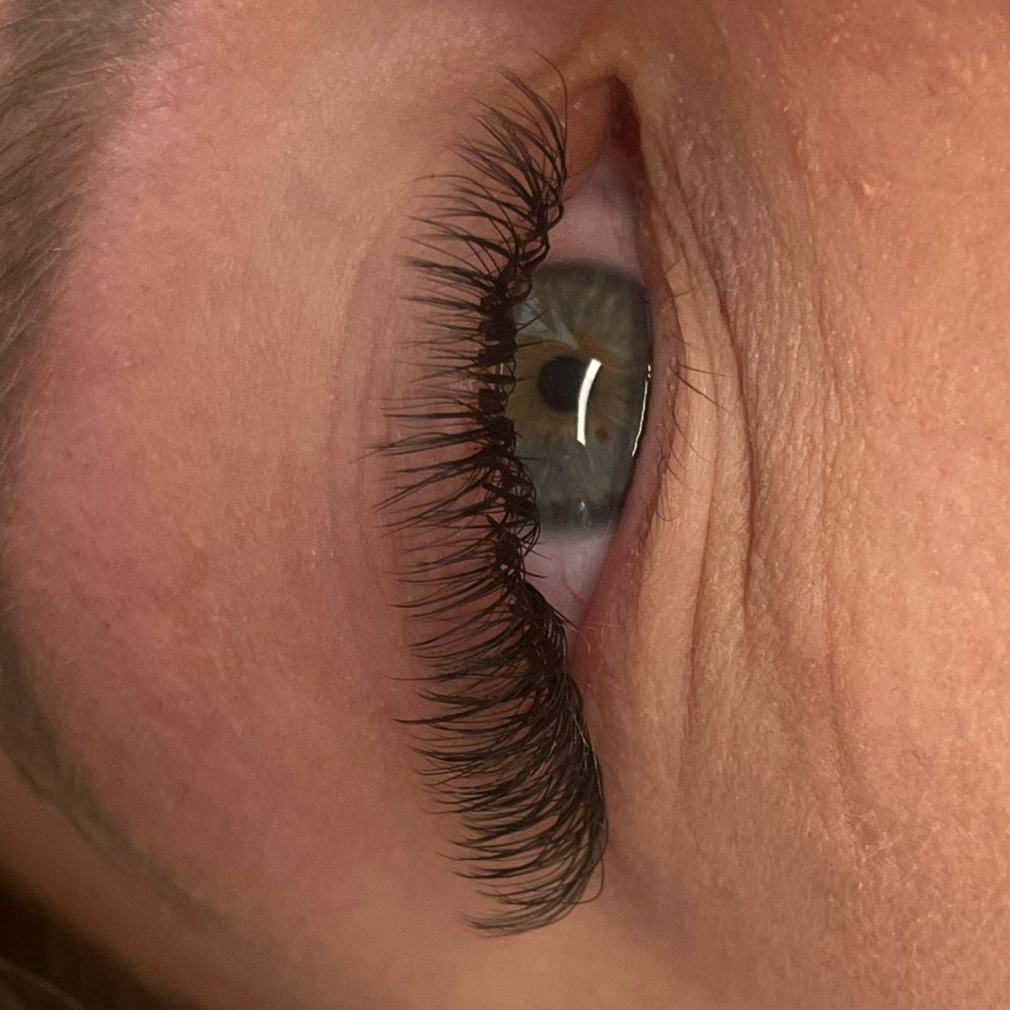 Fairy Lashes – 16 Row Single Length Trays