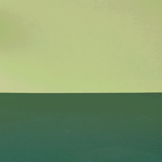 13 Farmyard Animals Shelf Set