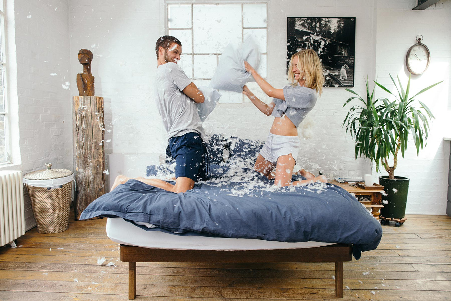 Cotton Collective Pillowcases Set of 2