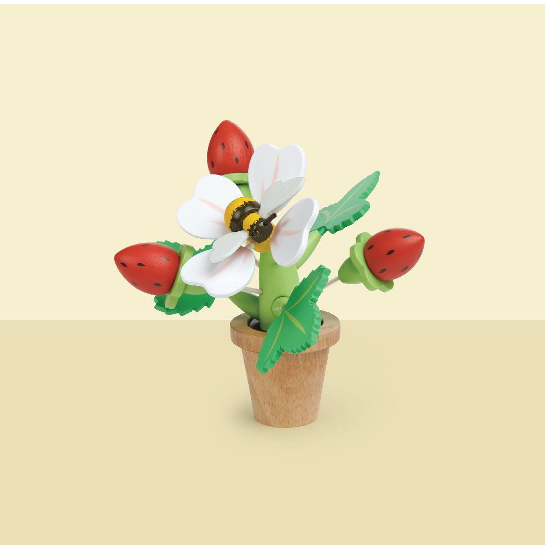 Strawberry Flower Pot