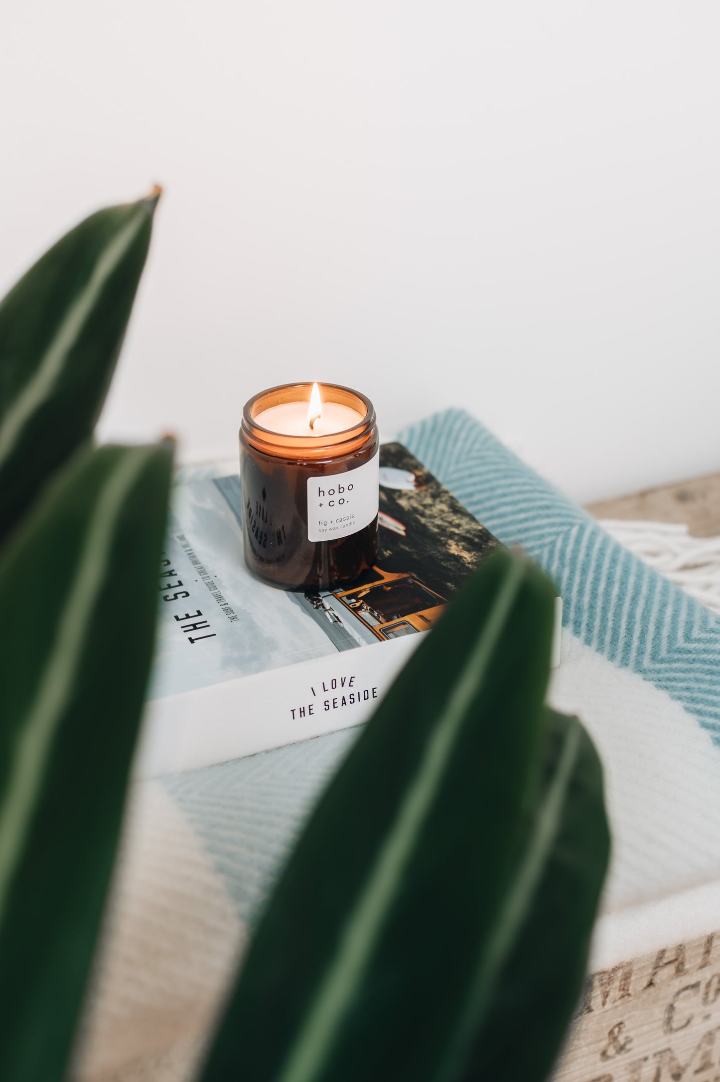 Glass Jar Fig and Cassis Candle