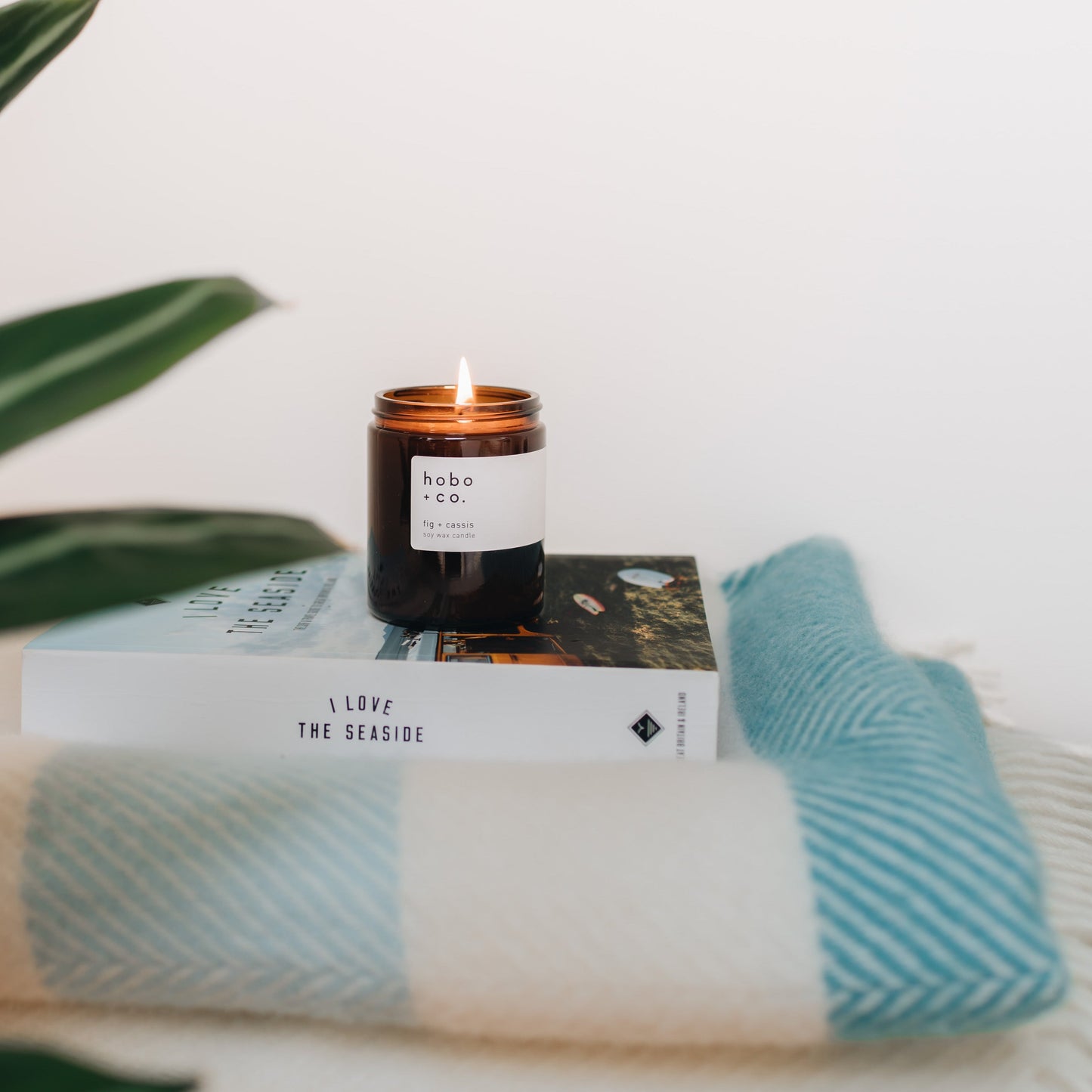 Glass Jar Fig and Cassis Candle