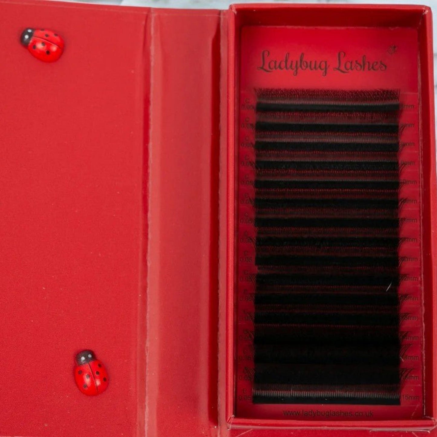 W Lashes – Mixed Tray