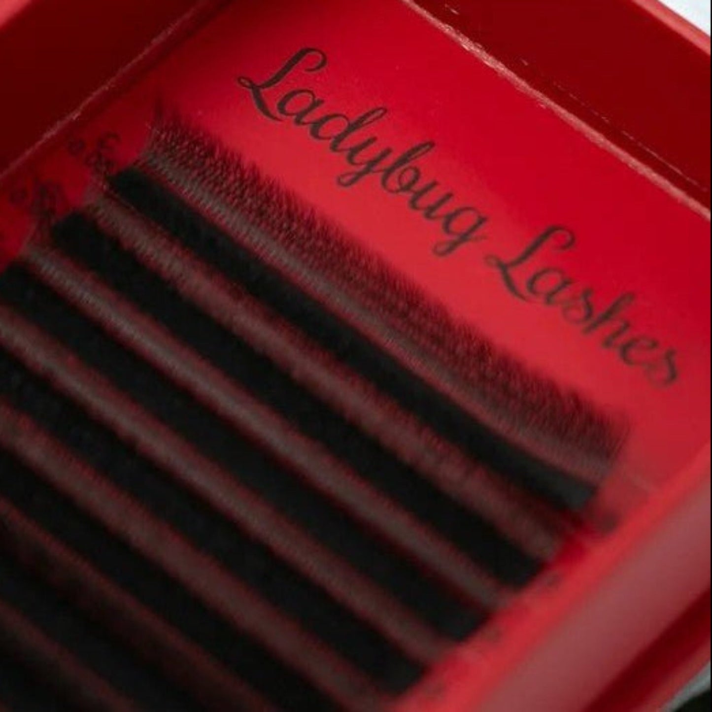 W Lashes – Mixed Tray