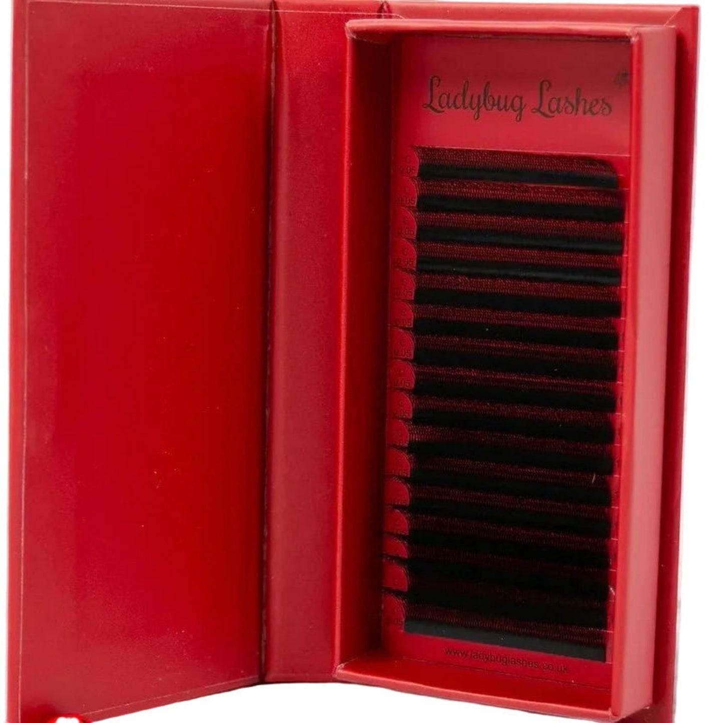 W Lashes – Mixed Tray