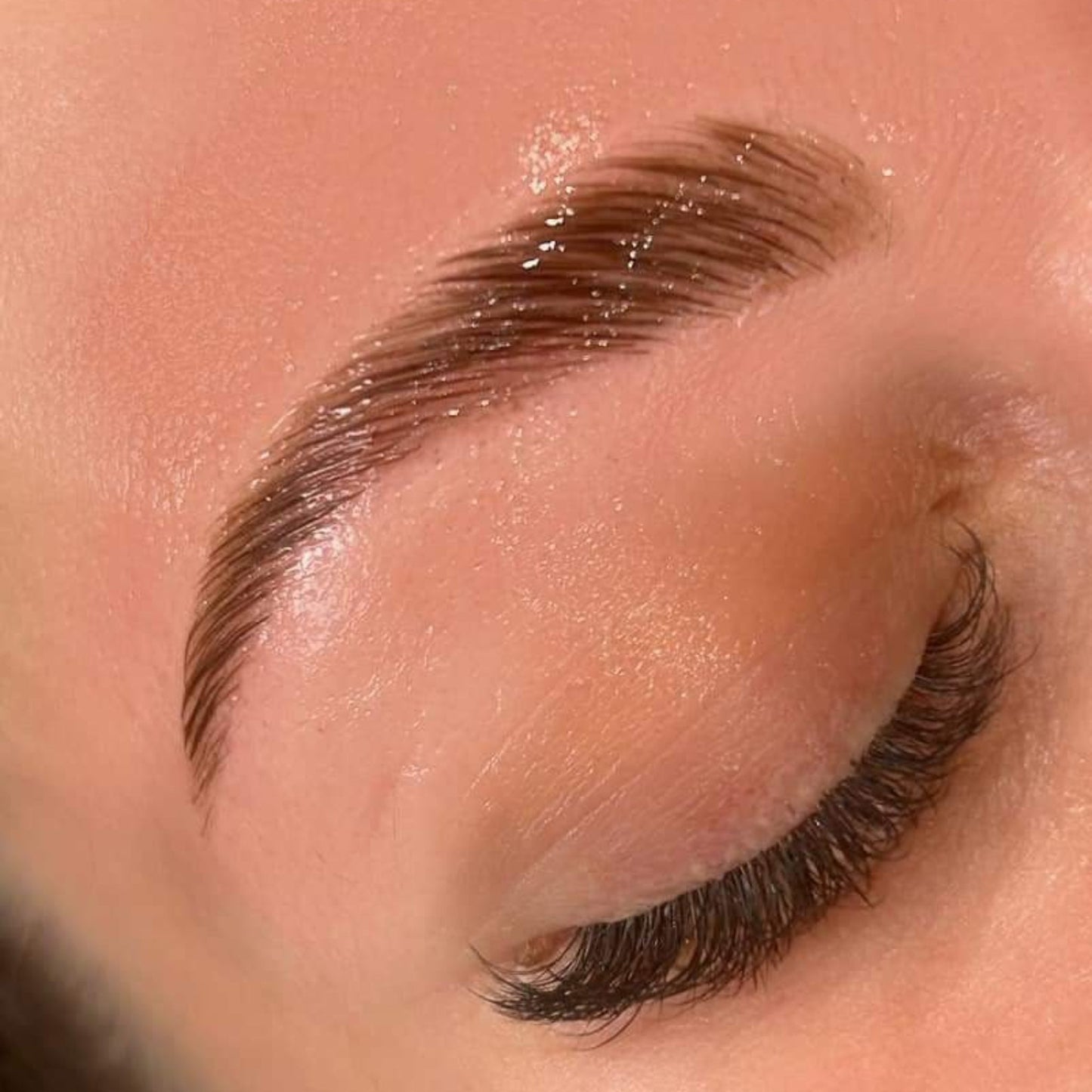 Flutter & Frame Lash Lift & Brow Lamination Sample Pack