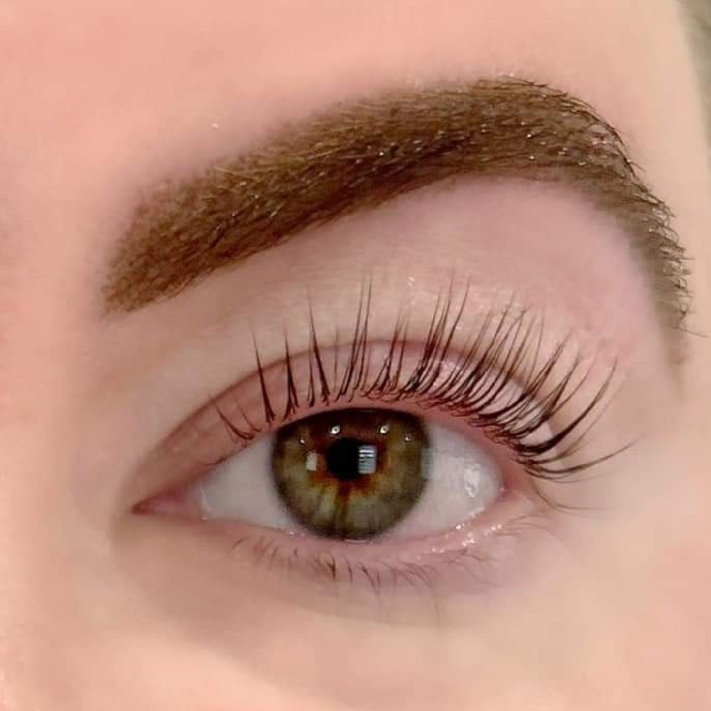 Flutter & Frame Lash Lift & Brow Lamination Sample Pack