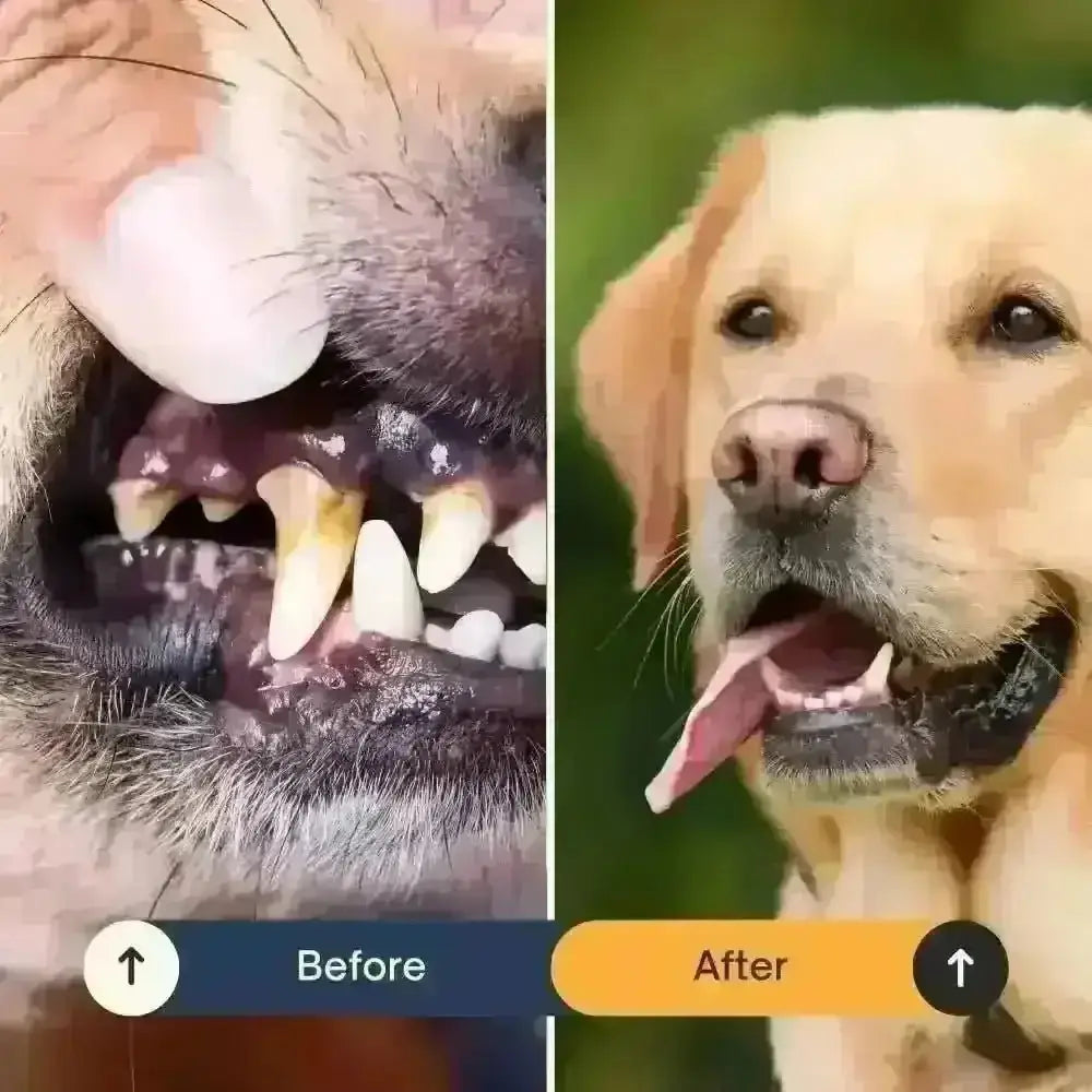 Fish Stick Chew For Dogs