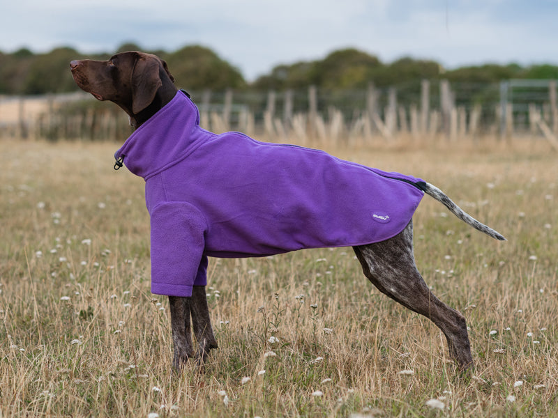 Fleece Dog Jumper - Purple