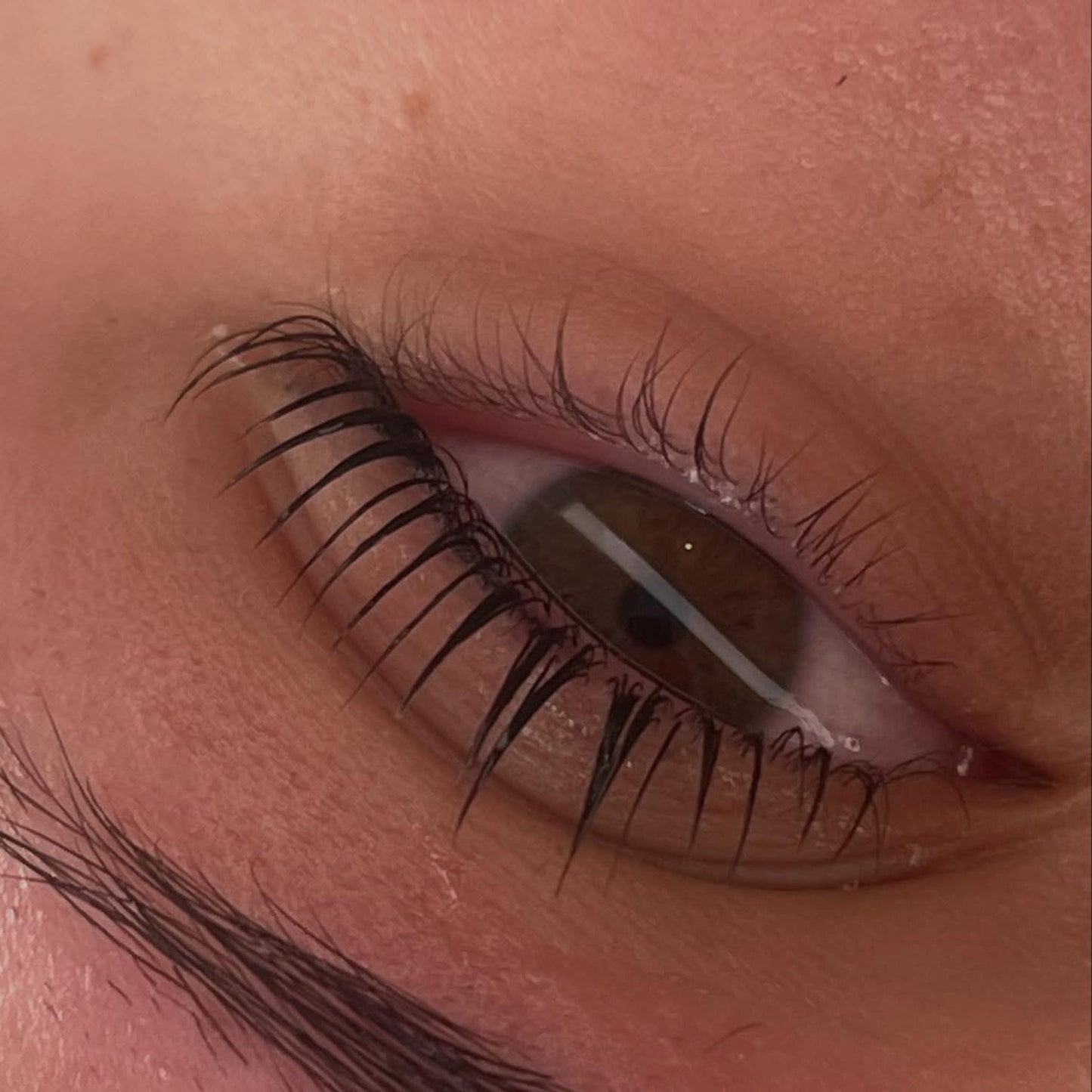 Flutter & Frame Lash Lift & Brow Lamination Sachets