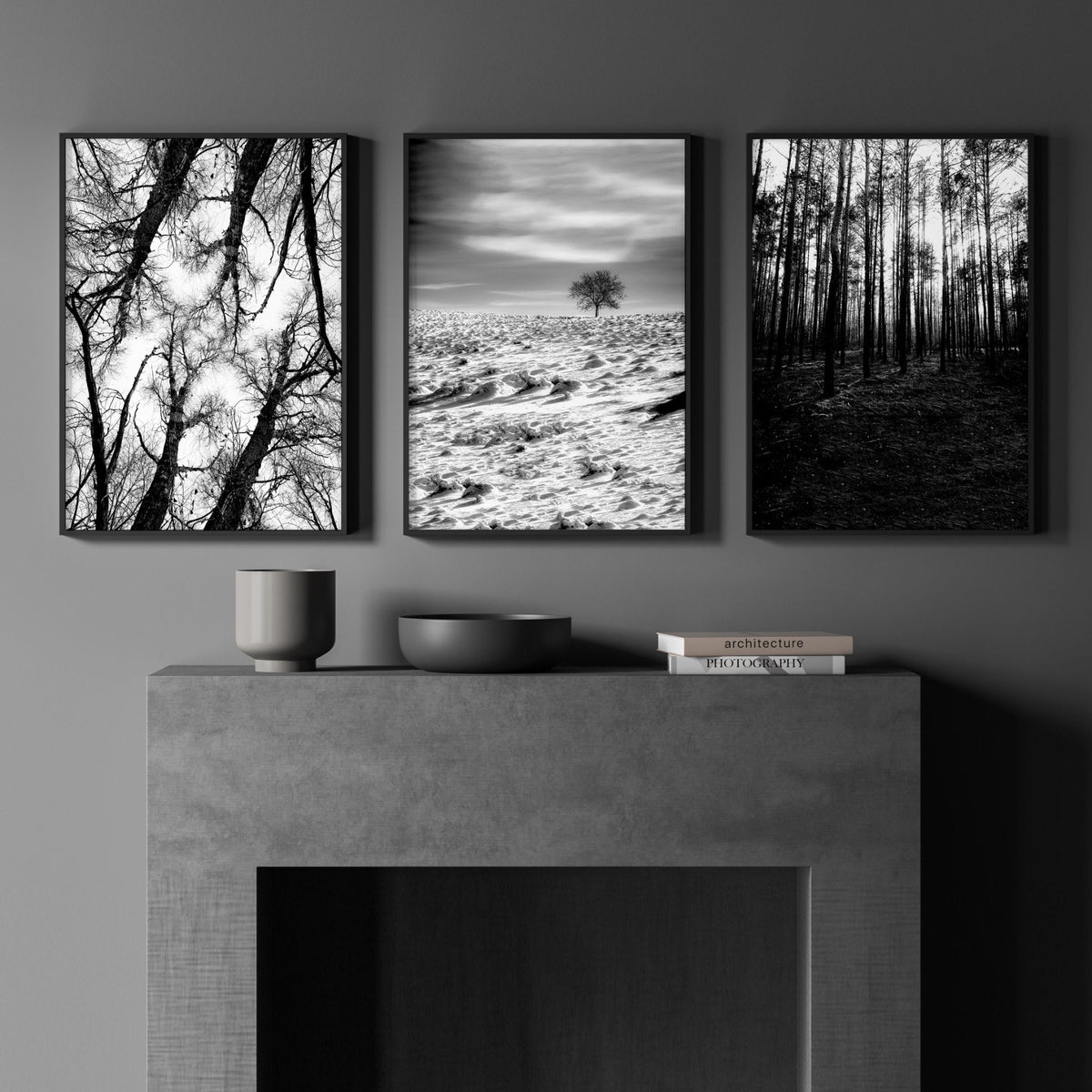 Forest Artwork Black & White Photography Wall Art Prints | Set of 3