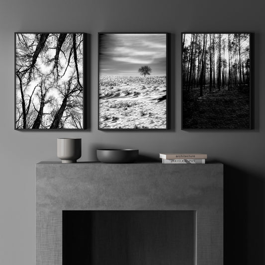 Forest Artwork Black & White Photography Wall Art Prints | Set of 3