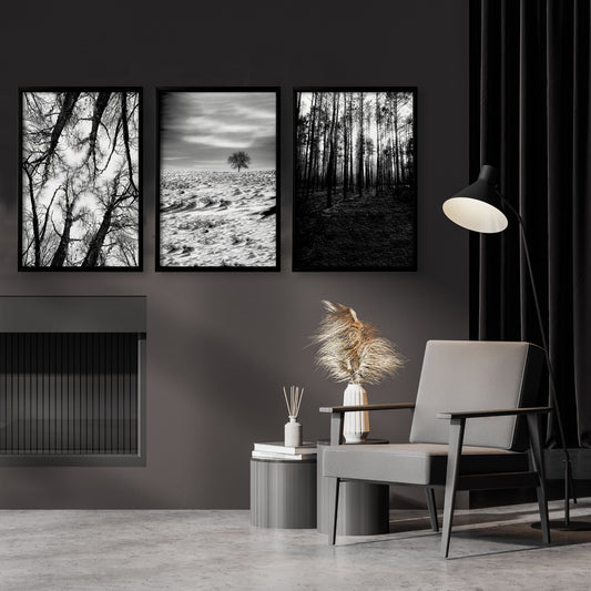 Forest Artwork Black & White Photography Wall Art Prints | Set of 3