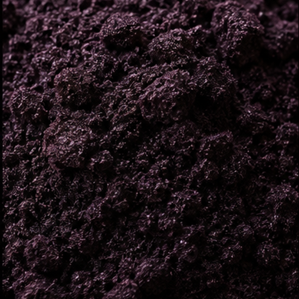 Freeze Dried Blackcurrant Powder