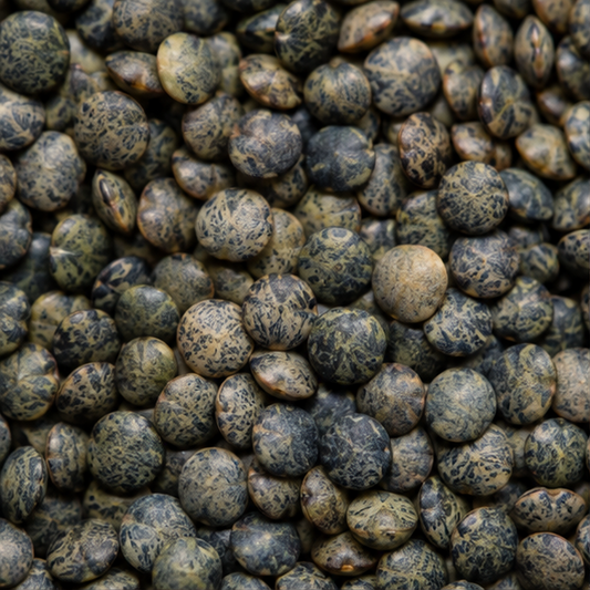 Infinity Foods Bulk Organic French Type Lentils