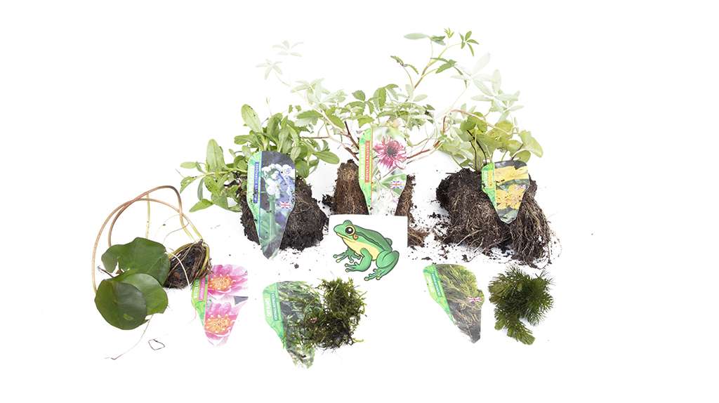 Premium Pond Starter Packs - Pond topup Packs - Oxygenating - Compost and Pots