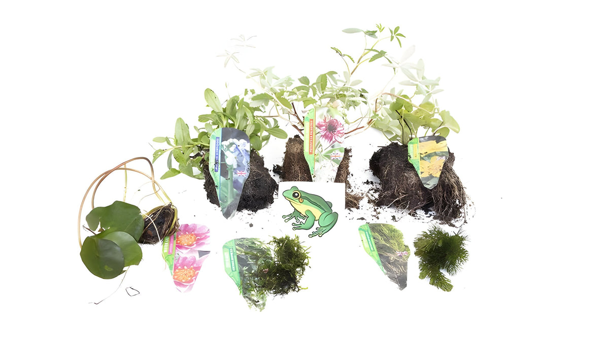 Premium Pond Starter Packs - Pond topup Packs - Oxygenating - Compost and Pots