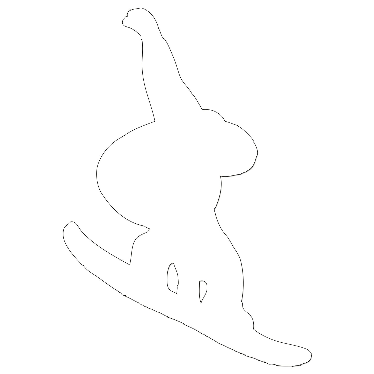 Snowboarder Iron On HTV Transfer