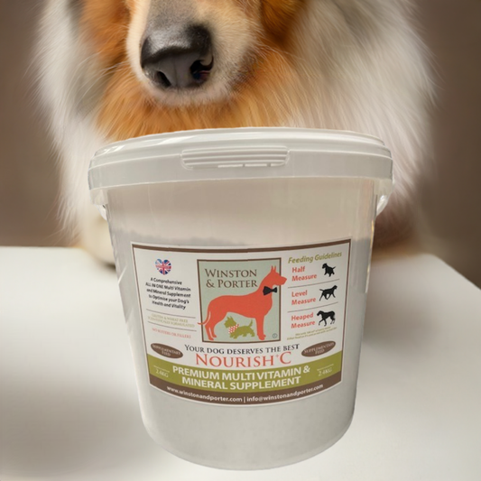 Nourish + C Premium Multi Vitamin & Mineral ALL IN ONE Supplement