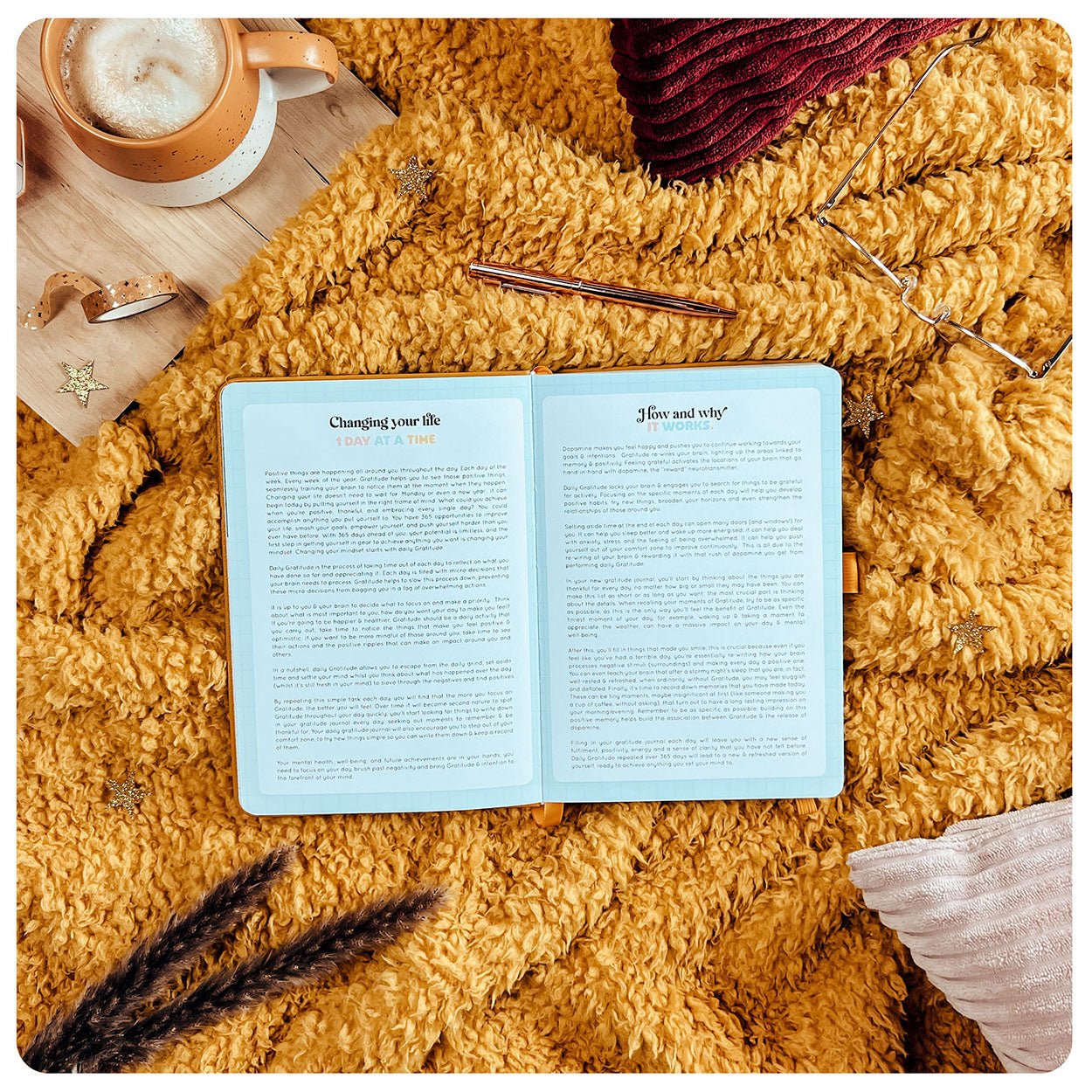 Gratitude - Deluxe Life Journal