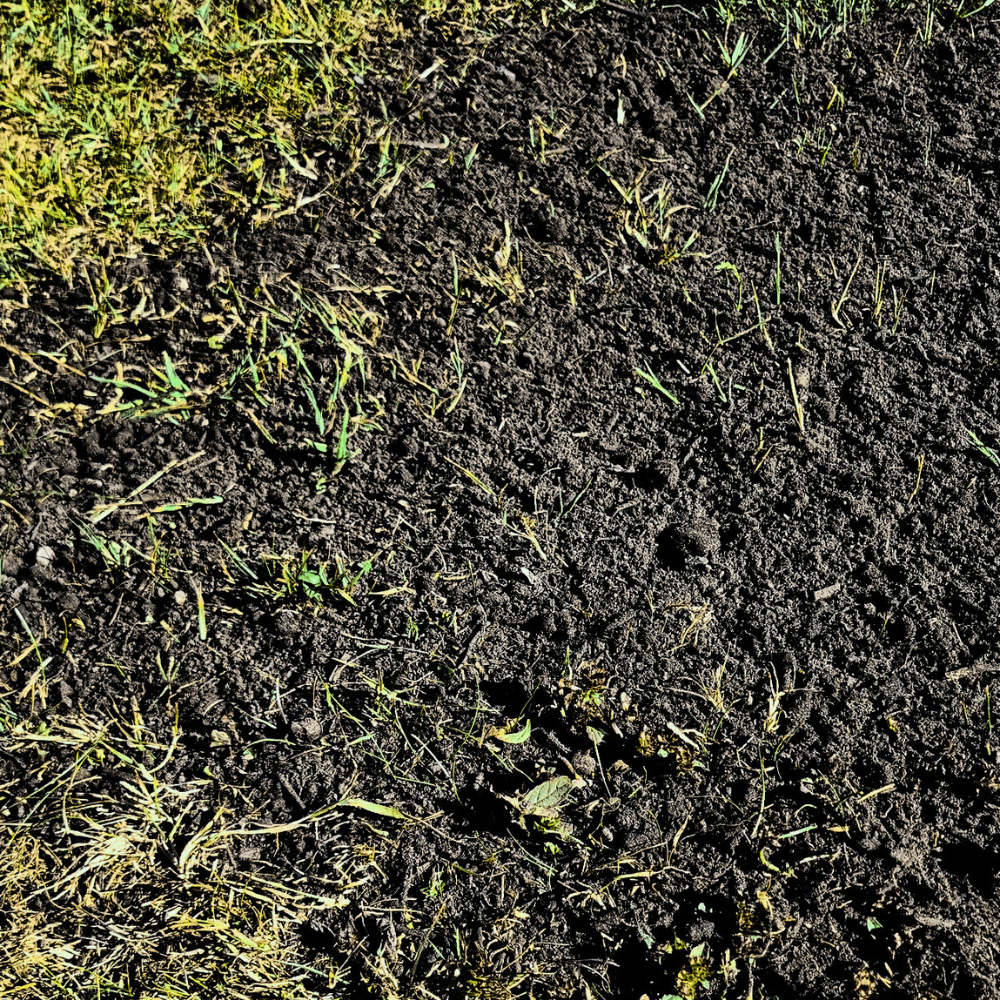Green Again™ Lawn Reviver