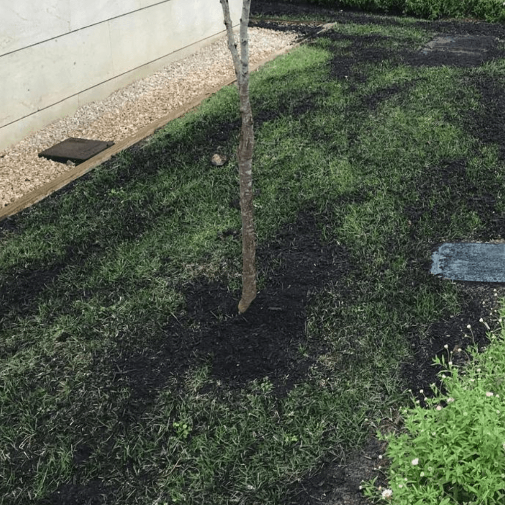 Green Again™ Lawn Reviver