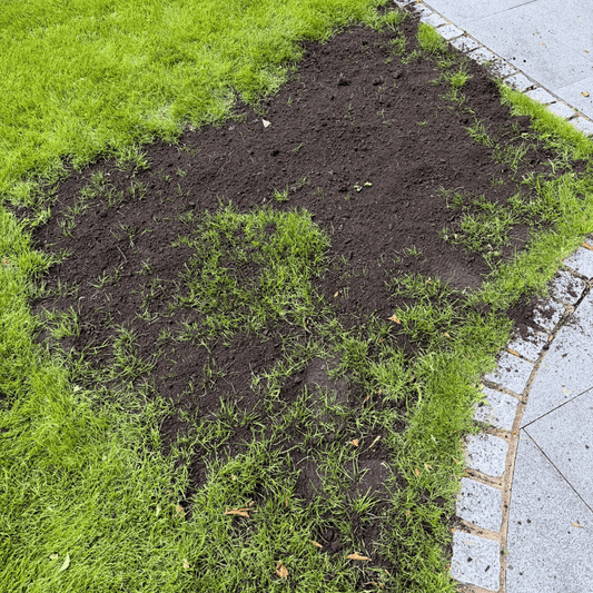 Green Again™ Lawn Reviver