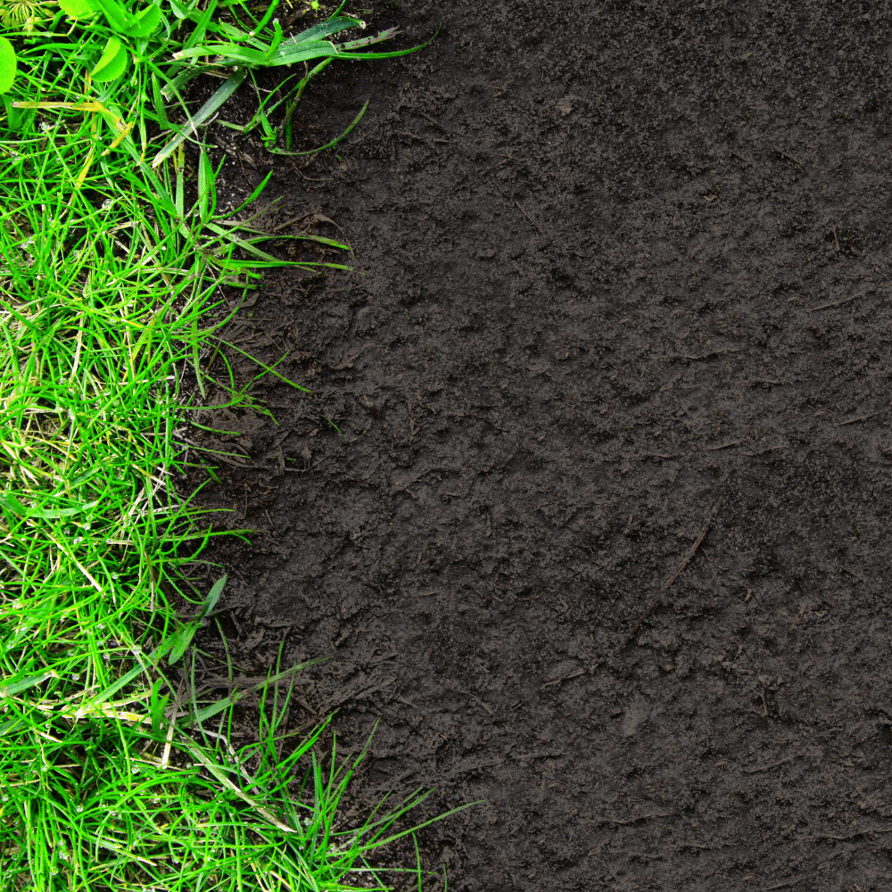 Green Again™ Lawn Reviver