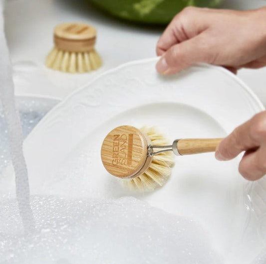 Green Island Replaceable Dish Washer, Plastic Free Eco Friendly Kitchen Brush