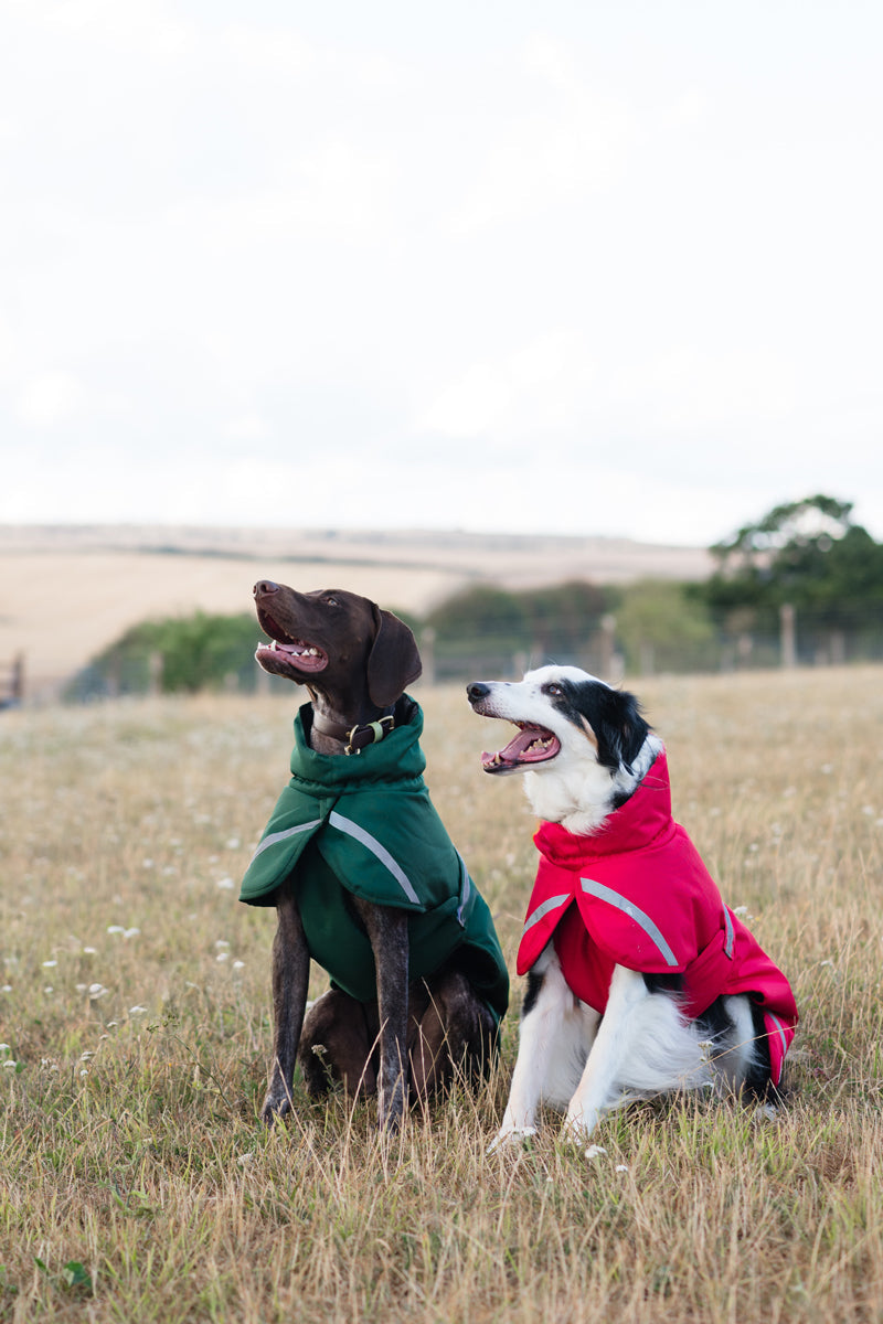 Luxe Waterproof Dog Coat 0g - Hunter Green
